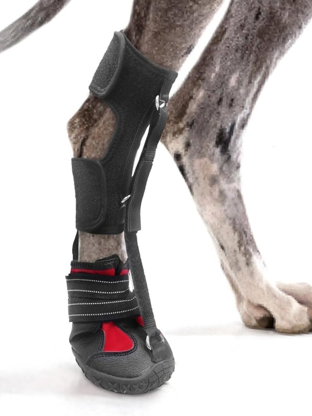 Strap-On Drop Foot Brace (No Knuckling Boot Brace) for Dogs